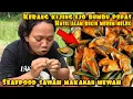 KERANG IJO MOMOK KW BUMBU PEDAS