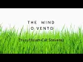 T H E W I N D - Yusuf Cat Stevens