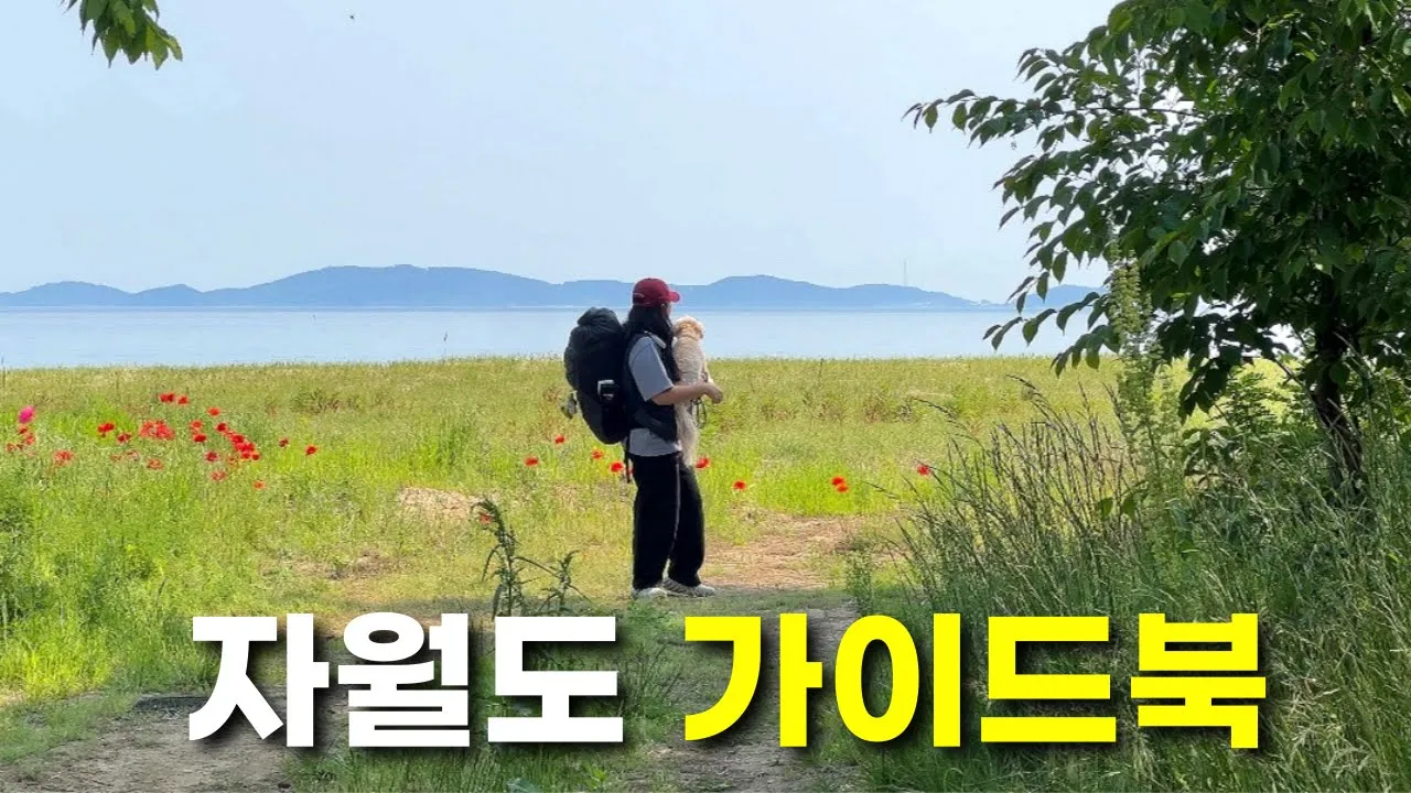 관련 영상 썸네일