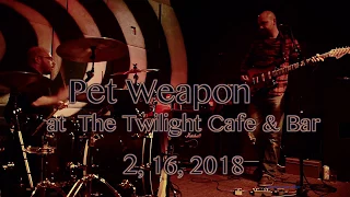 Pet Weapon Shit For Brains at The Twilight Cafe Bar 2 16 2018