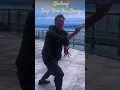 Lagu Wudang Taiyi Xiao Yao Zhang   武当太乙逍遥掌～          Instagram: taiji_knight                 Aberdeen, UK