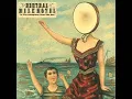 Neutral Milk Hotel - Holland, 1945