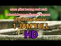 Download Lagu suara burung ruak ruak jernih kualitas HD 1 Jam full panen