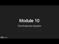 Module 10