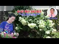 Download Lagu Ca cổ: DUYÊN PHẬN TRỚ TRÊU - Trình bày: Tiểu Mi
