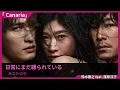 歌詞付き【 鈴木雅之 feat. 篠原涼子「Canaria」】ドラマ『パンチドランク・ウーマン−脱獄まであと××日−』主題歌