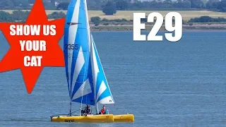 Show us your cat! Episode 29 Germany, Poland and the UK