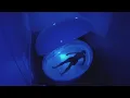 Relieving stress and anxiety with float therapy FOX 7 Austin