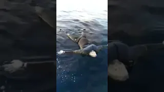 حراكة راجل ميت وسط البحر الله يرحمه  حراكة راجل ميت وسط البحر الله يرحمه