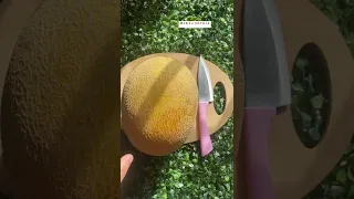 صوفيا بدها بوظة على شمام كرمال ليمار زعلانة           دندنها