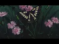 Camille Yembe - Coups de soleil [drumless + slowed + reverb]