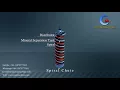 Gravity Spiral Concentrator Working Principle Animation
