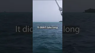 Spinning 360° at anchor! #sailing #sulawesi #shorts