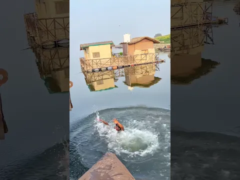 This is not a real video, it has been made with complete safety only to entertain you.#trending