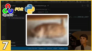 Filters and Kernels in OpenCV for Python - Beginner Tutorial