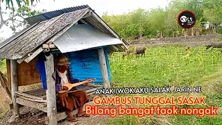 Download 🥎ANAK IWOK AKU SALAK JARIN NE GAMBUS TUNGGAL SASAK HAS LOMBOK BILANG BANGET LAIK NONGAK MP3