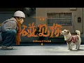 Lagu Shot on iPhone 17 Pro | Chinese New Year - Glad I Met You | Apple