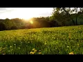 Aly & Fila feat. Jwaydan - We Control The Sunlight (Original Mix) Tune Of The Year 2011