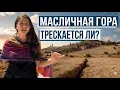 РАСКРЫЛСЯ ЛИ МАСЛИЧНЫЙ ХОЛМ? ПРОРОЧЕСТВО? Израиль с Алин