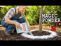 17 Things The Gardening Industry Don t Want You to Know About Borax