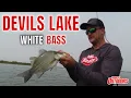 Giant White Bass on Devils Lake North Dakota