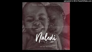 dj mandy u0026 gaba cannal naledi original mix 