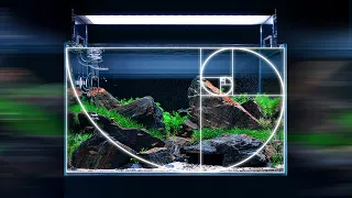 how to design your aquascape like a professional