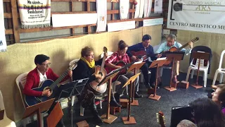 los cucaracheros grupo de guitarras