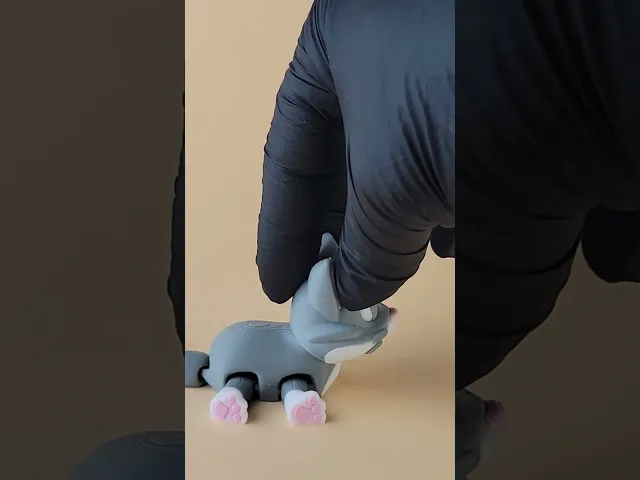 Purry - Cute Flexi Cat with Bonus Box! video thumbnail