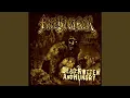 Download Lagu Slowly Rotting