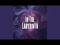 Lagu In The Labyrinth