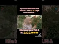 Download Lagu lagu fauzana Minang versi Madura