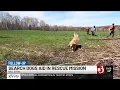 Volunteer search dog team aids in Vt NH rescue missions