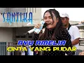 Download Lagu Ayu Amelia 💫 Cinta Yang Pudar  ❗ Santika Nada