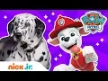 How To Be a Fire Pup w PAW Patrol s Marshall REAL Dogs PAW Patrol Nick Jr