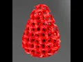 Trimedv Gyroid Minimal Surfaces