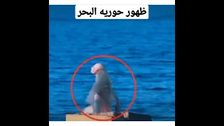 ظهور حوريه البحر الحقيقيه على الكامىرا 