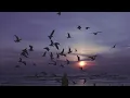Hybrid Minds - Touch
