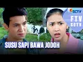 Lagu FULL FTV SCTV Susu Sapi Bawa Jodoh | Dinda Azani dan Marcel Darwin