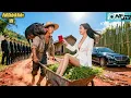 Download Lagu Nữ CEO Bị Ép Về Quê Cưới Thằng Chăn Heo, Ai Ngờ Hốt Được Chủ Tịch Giả Nghèo Giúp Cô Lấy Lại Tài Sản