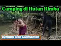 Download Lagu Camping‼️Di Hutan Rimba Kalimantan #campping #camping #cooking #adventure #explore #memancing #rain