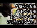 Download Lagu 上り調子始まりました！今週のうお座、8月のうお座、2025年のうお座さん。Pisces this week, Pisces in August, and Pisces in 2025.