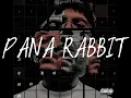 Tito Double P - Pana Rabbit