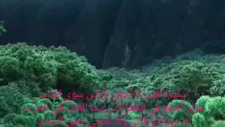 ﺳﻠﻴﻢ ﺍﻟﻘﻠﺐ ﻻ ﺃﺣﻤﻞ ﻟﻠﻨﺎﺱ ﺳﻮﻯ ﺍﻟﺤﺐ Hayder App 