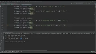 Java Basics Equality Relational and Conditional Operators