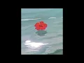 savannah cristina ~ self care (slowed + reverb)
