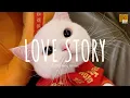 Download Lagu Love story (remix cute) - DJ Komang Rimex (Vietsub + Lyric)
