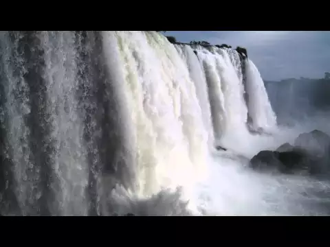 Brazil - A Natural History: Fragile Forest trailer