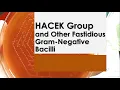 Download Lagu Clinical Bacteriology 18.2 | Other Fastidious Gram-negative Bacilli