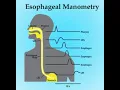 Gastroenterology procedure CPT codes - simplify medical coding